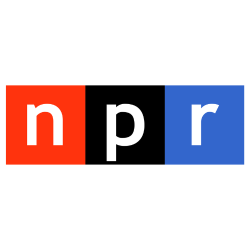 Logo with three colored squares containing the letters N, P, R.