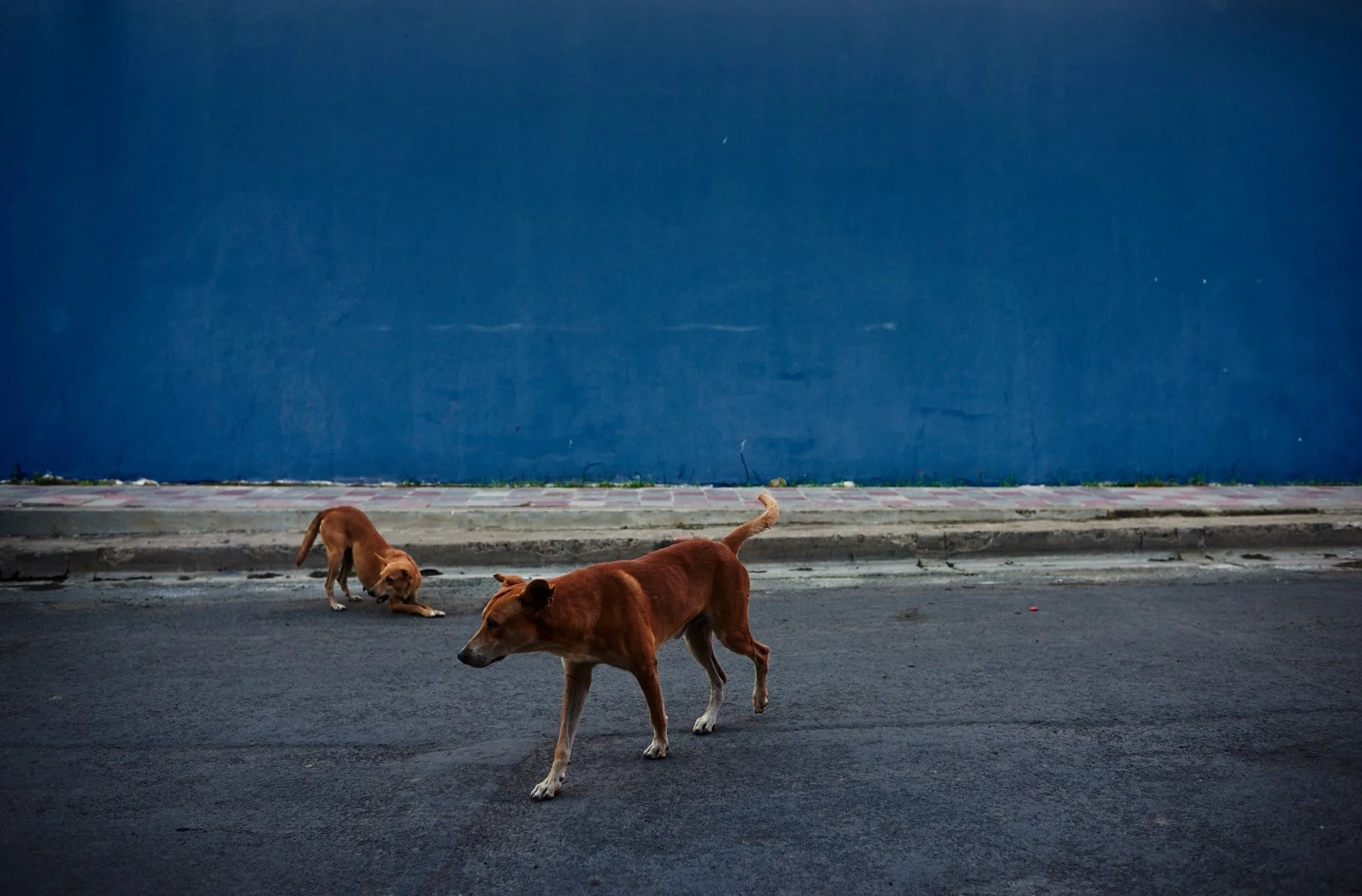 2016_02_01_nicaragua_2-6 31.jpg