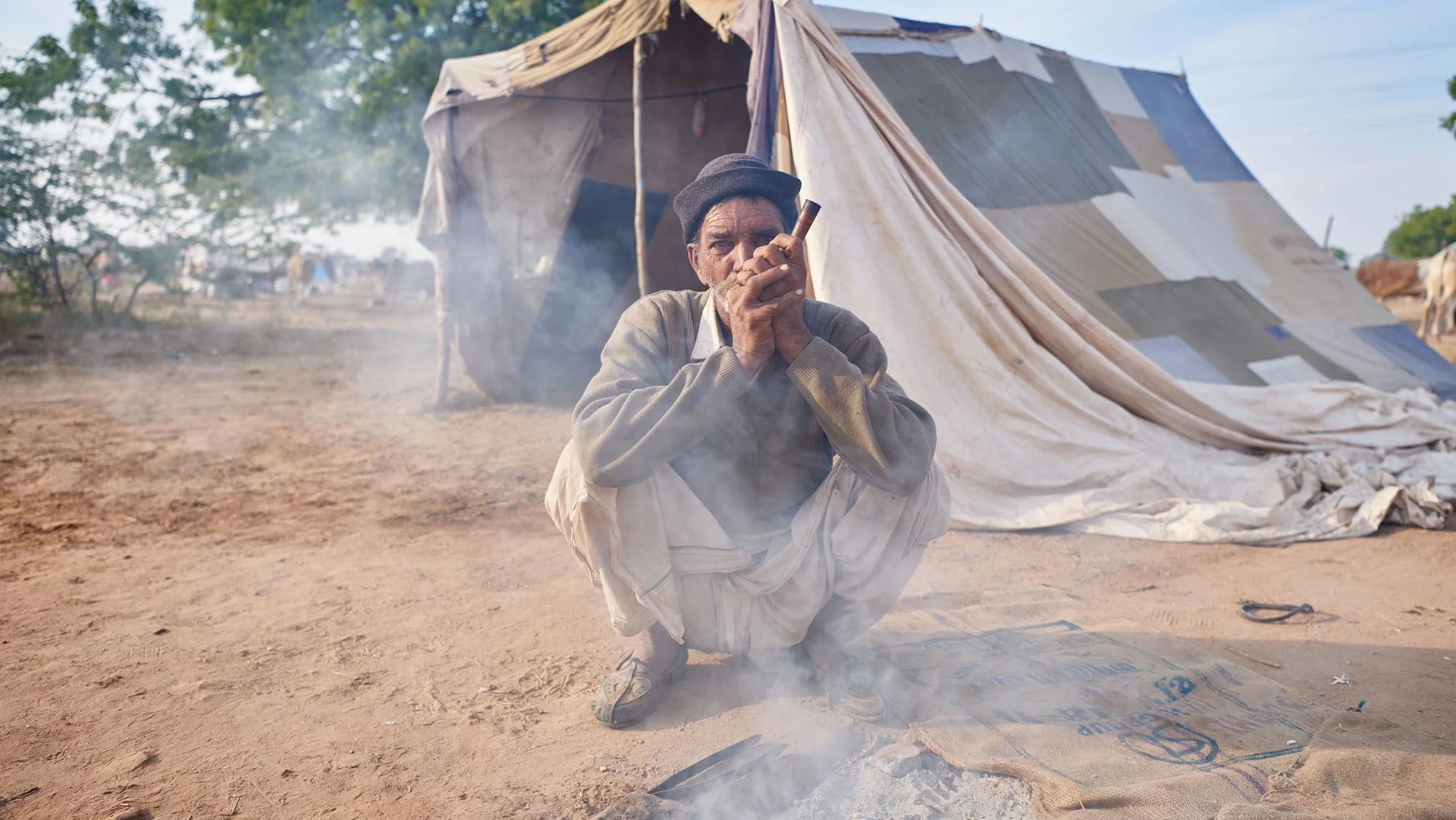 Cattleman of Rajasthan