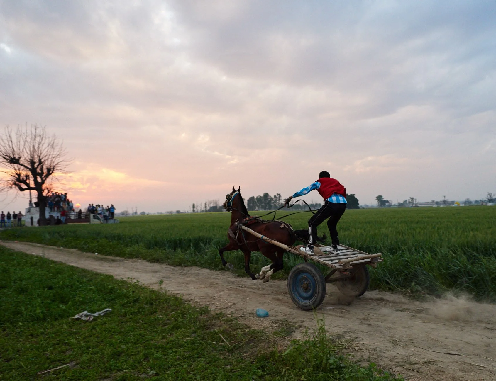 Qila Raipur Rural Olympics