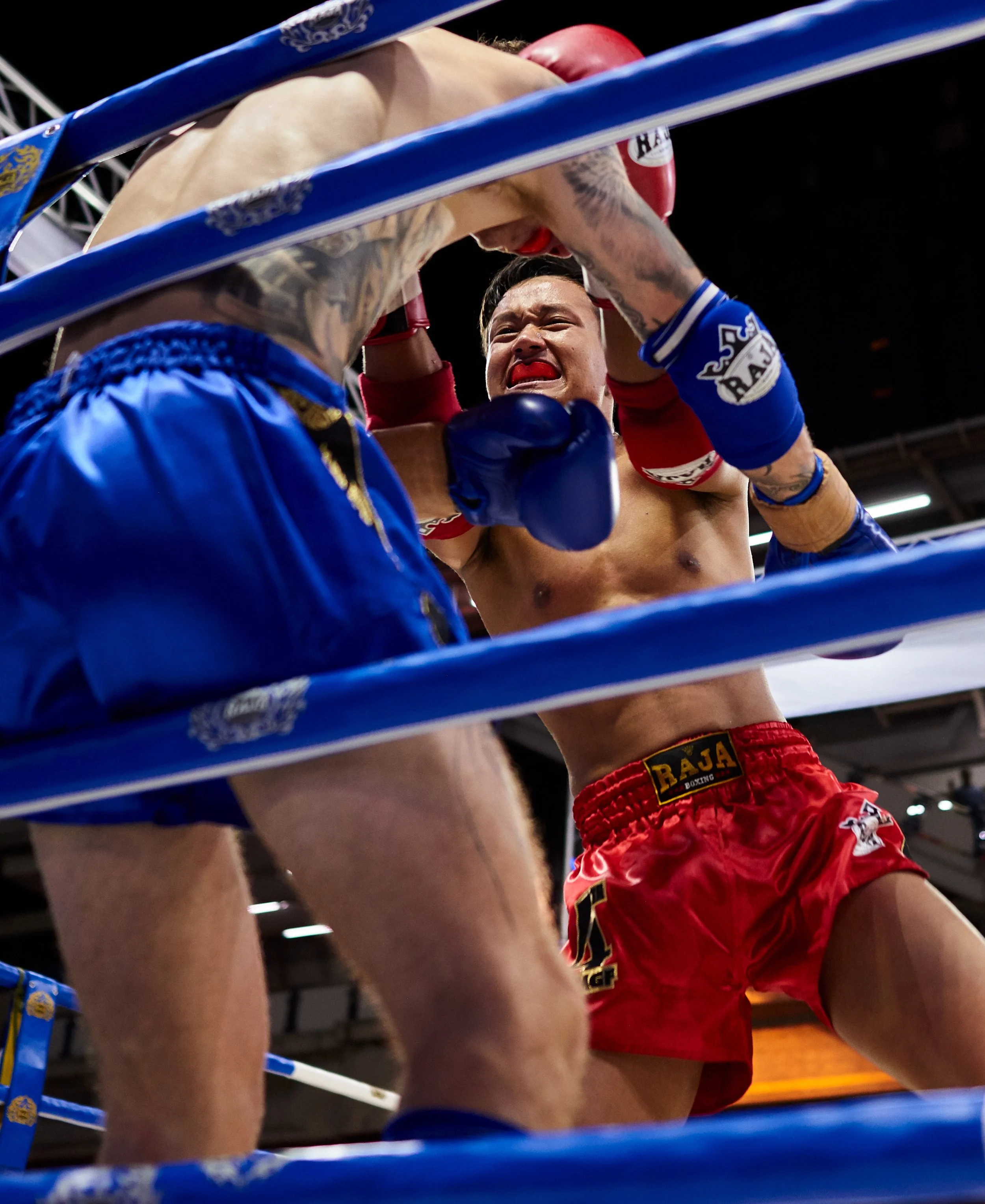 2019_03_15_Muay_Thai_Festival_0704 1.jpg