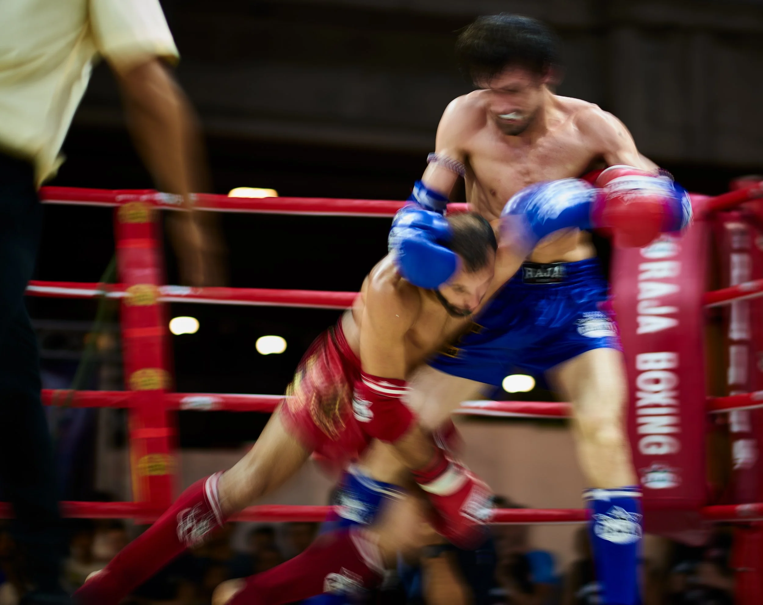 2019_03_15_Muay_Thai_Festival_0657.jpg