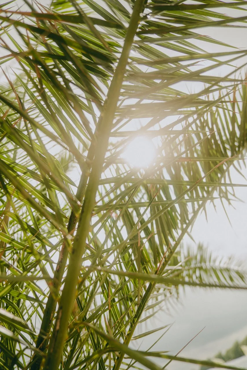 BY THE CREEK - SHOTBYSE7EN LR day 2-31.JPG