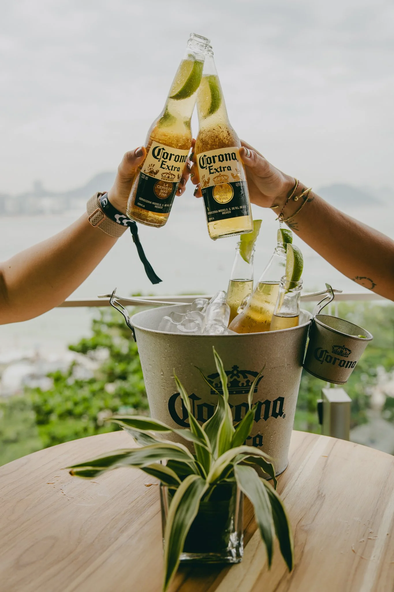 CORONA_TMNR_WINK_SB_FAIRMONT-29.JPG