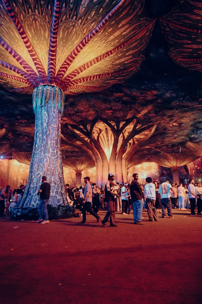 1001 NIGHTS - Shotbyse7en LR-113.JPG