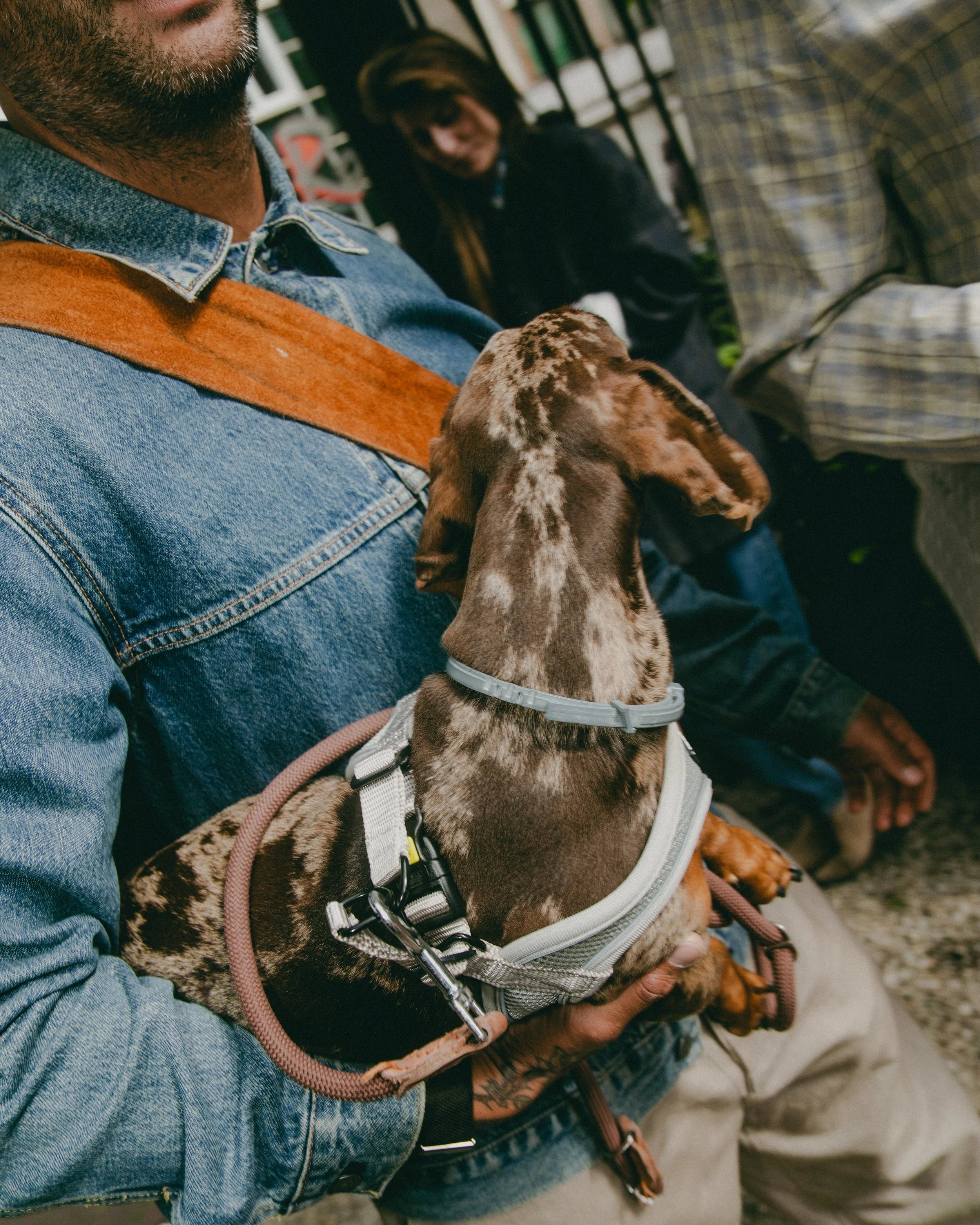 YUME YUME SHOW_PHOTO_4X5_@SHOTBYSE7EN-63.JPG