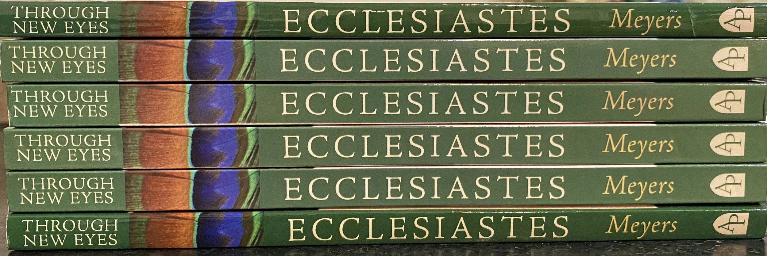 January Bible Study - Ecclesiastes