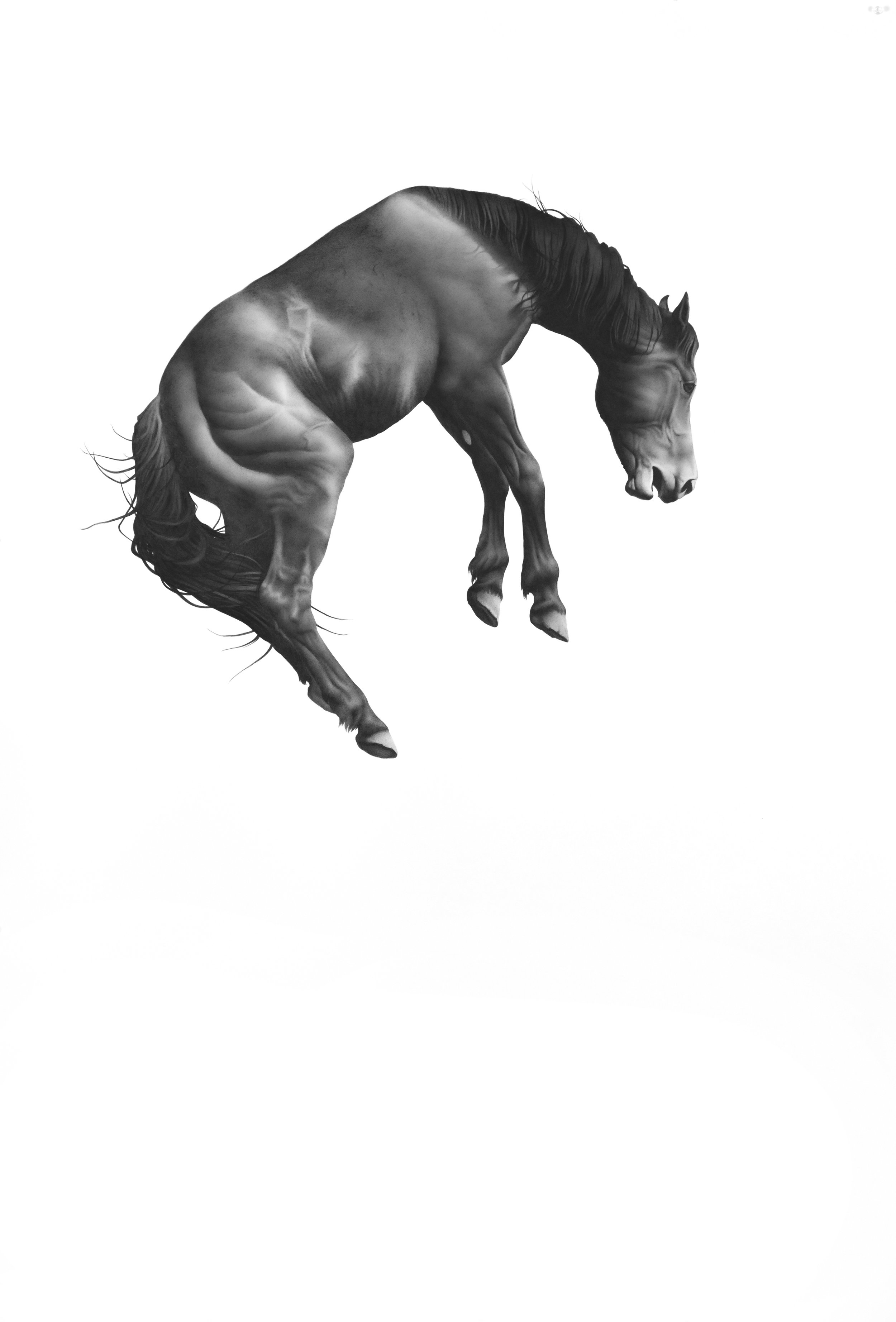 LAST CHANCE  2021, colored pencil on paper, 2021