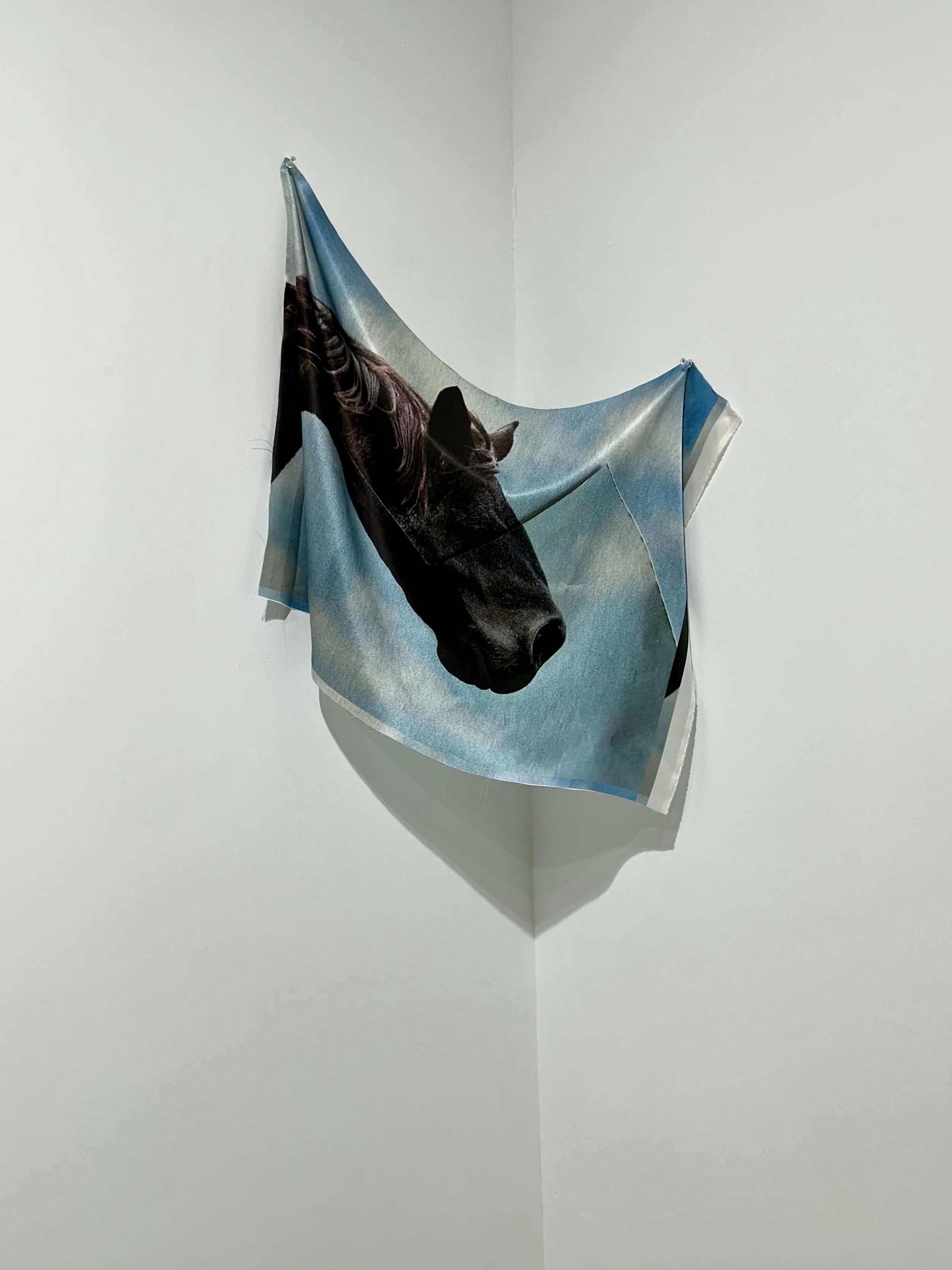 Dark Horse  2024, silk