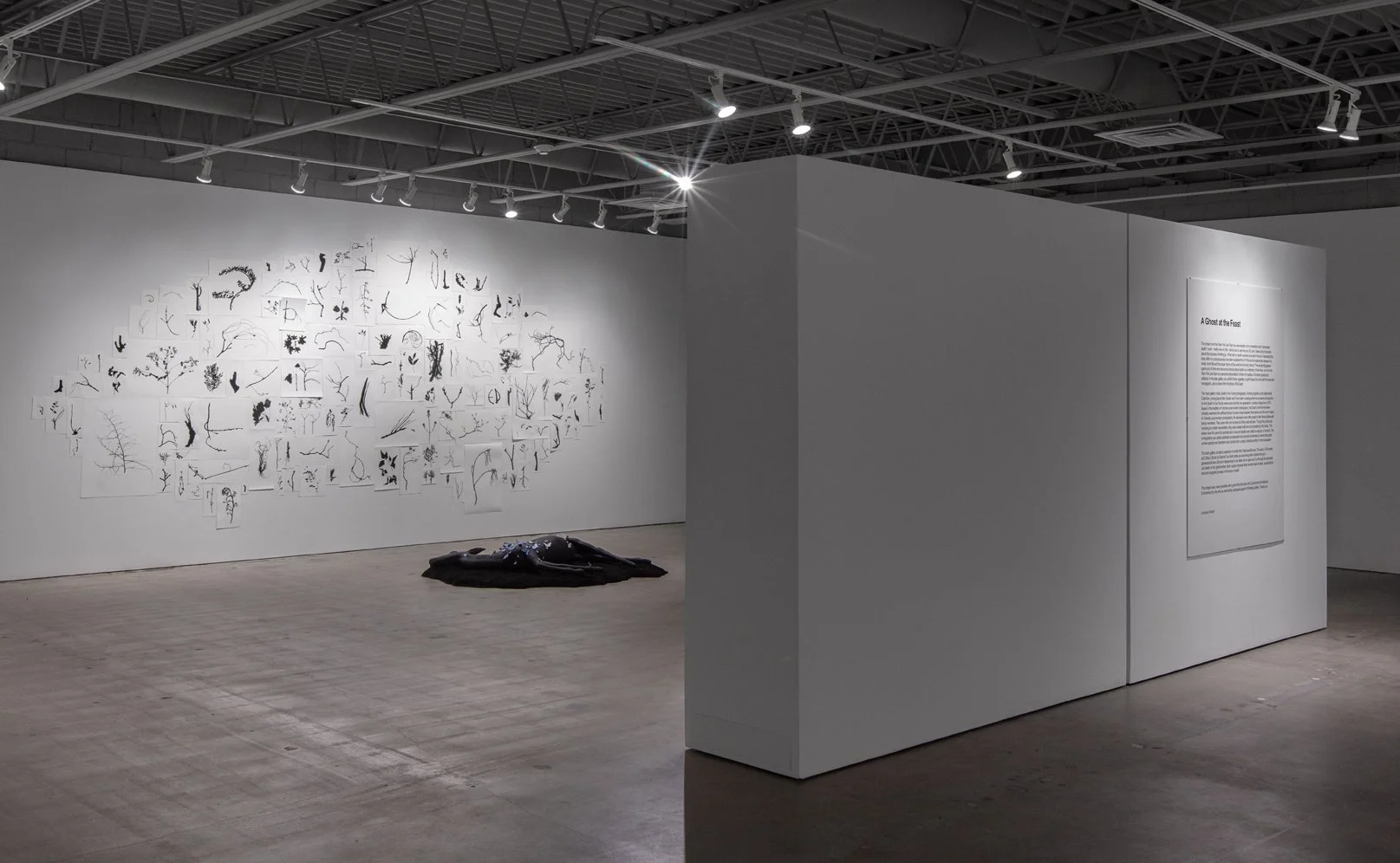 A Ghost at the Feast