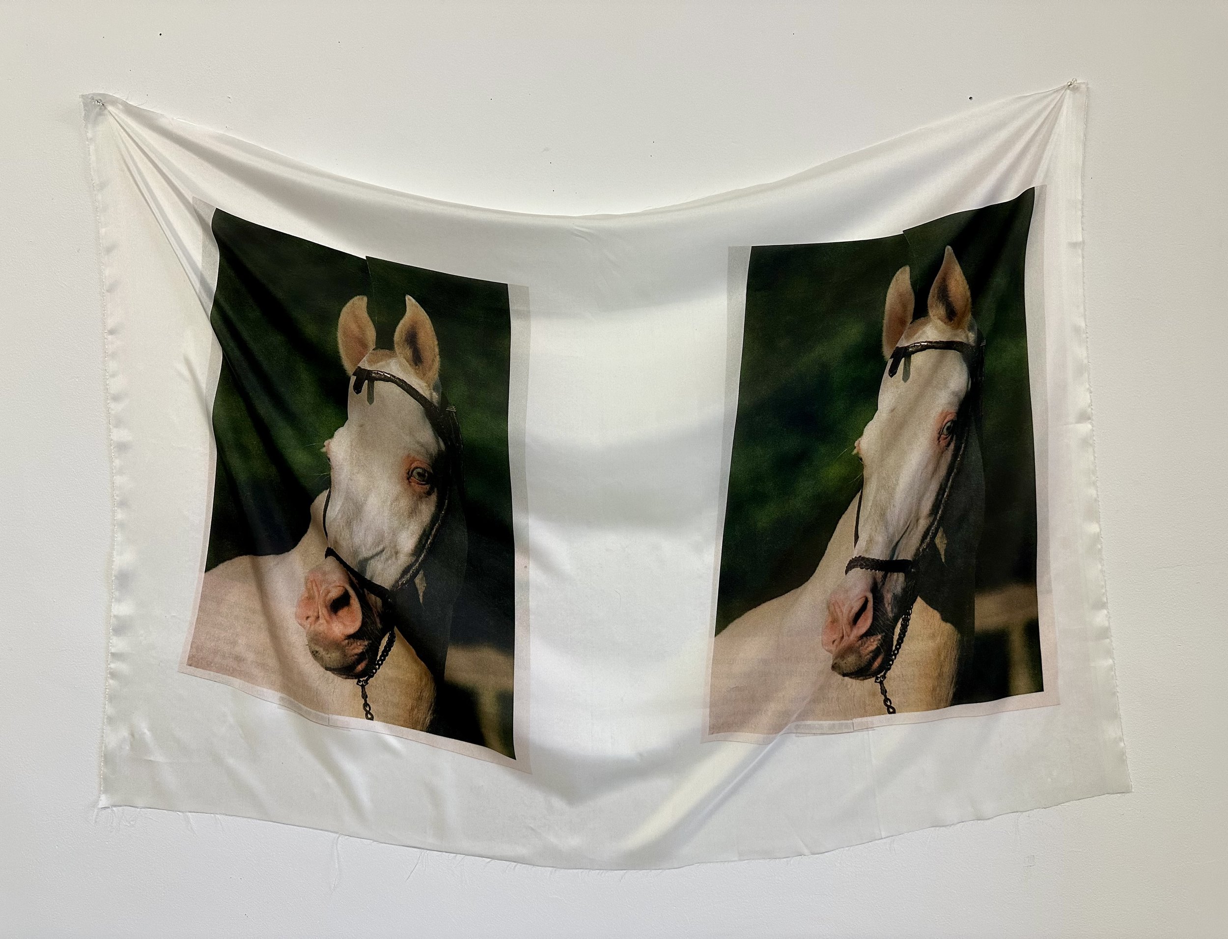 Double White Horse  2024, silk