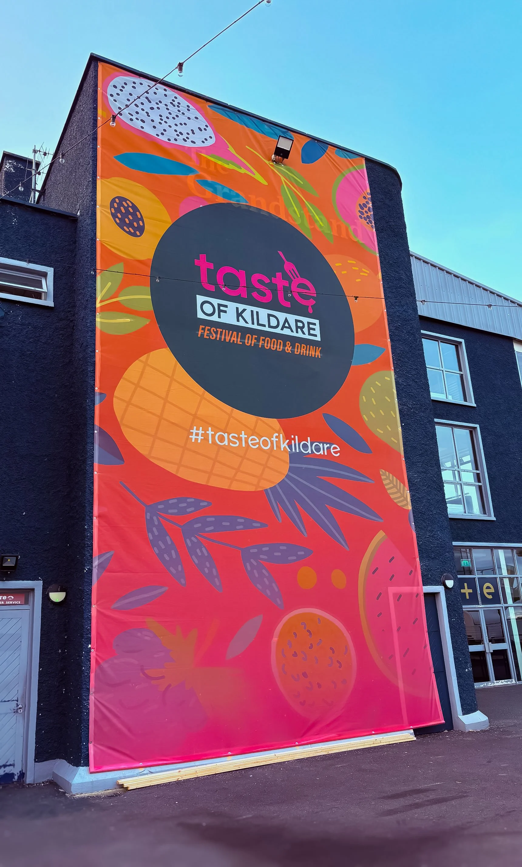 Large vertical banner for Taste of Kildare food and drink festival with colorful fruit and leaf illustrations on orange background.