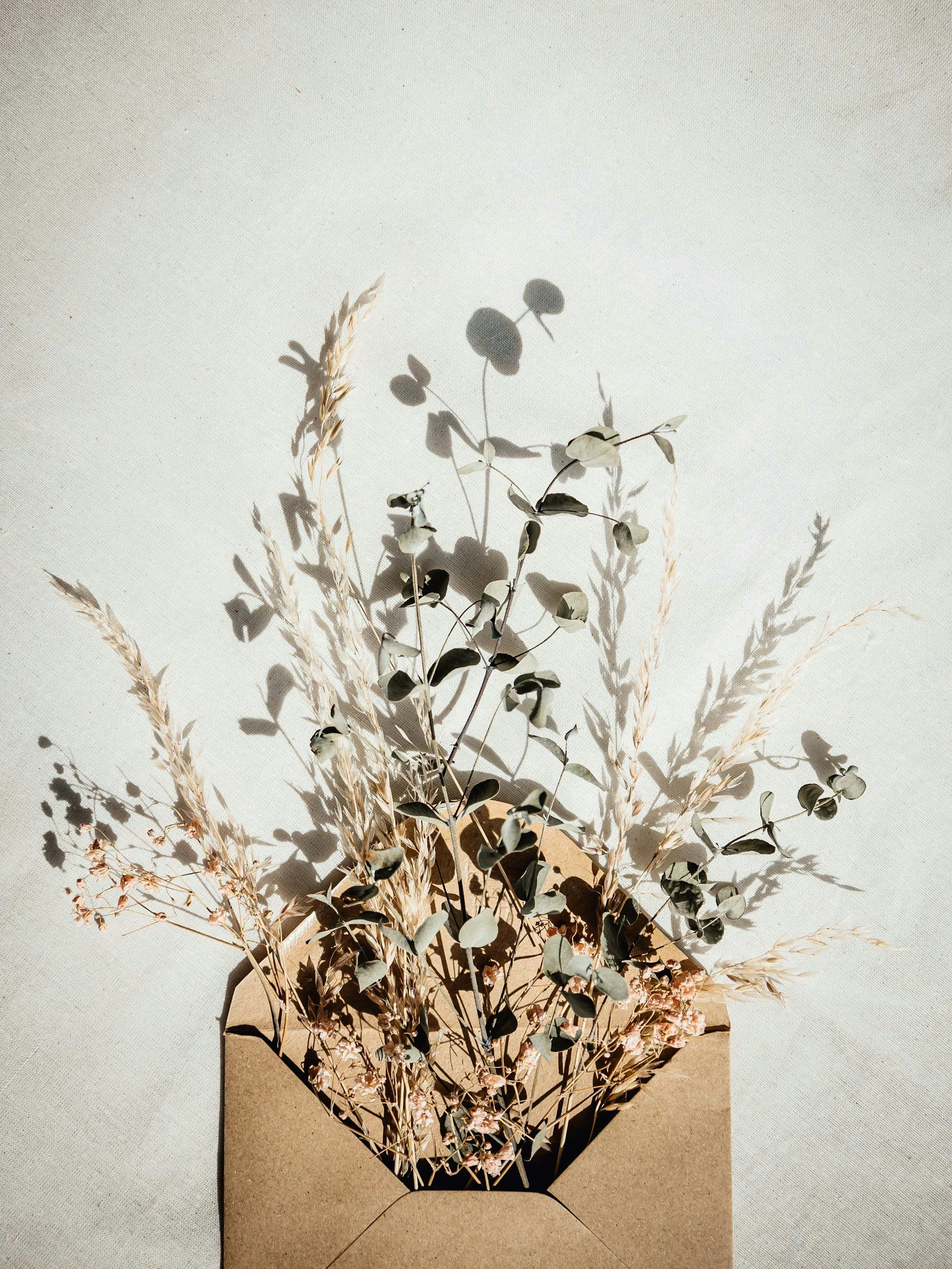 A paper envelope contains dried flowers including eucalyptus and grasses, casting shadows on a light-colored surface.
