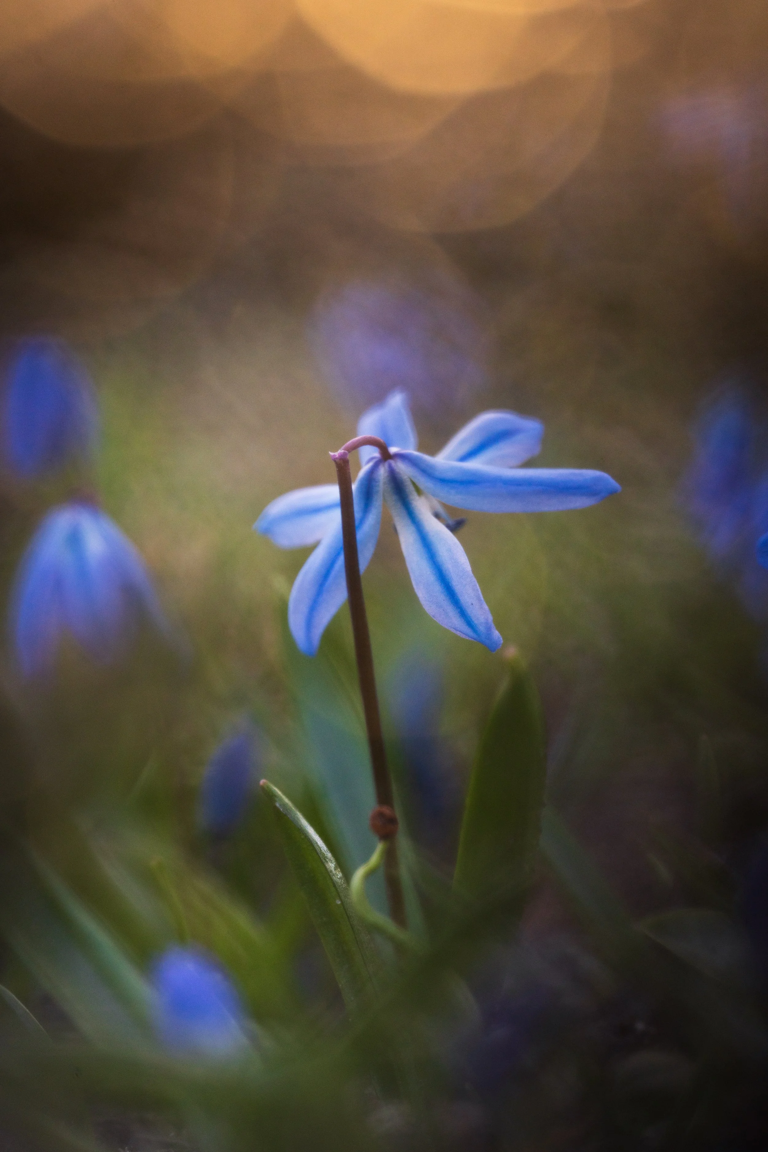 20260318-DSC00437 Kopie.jpg