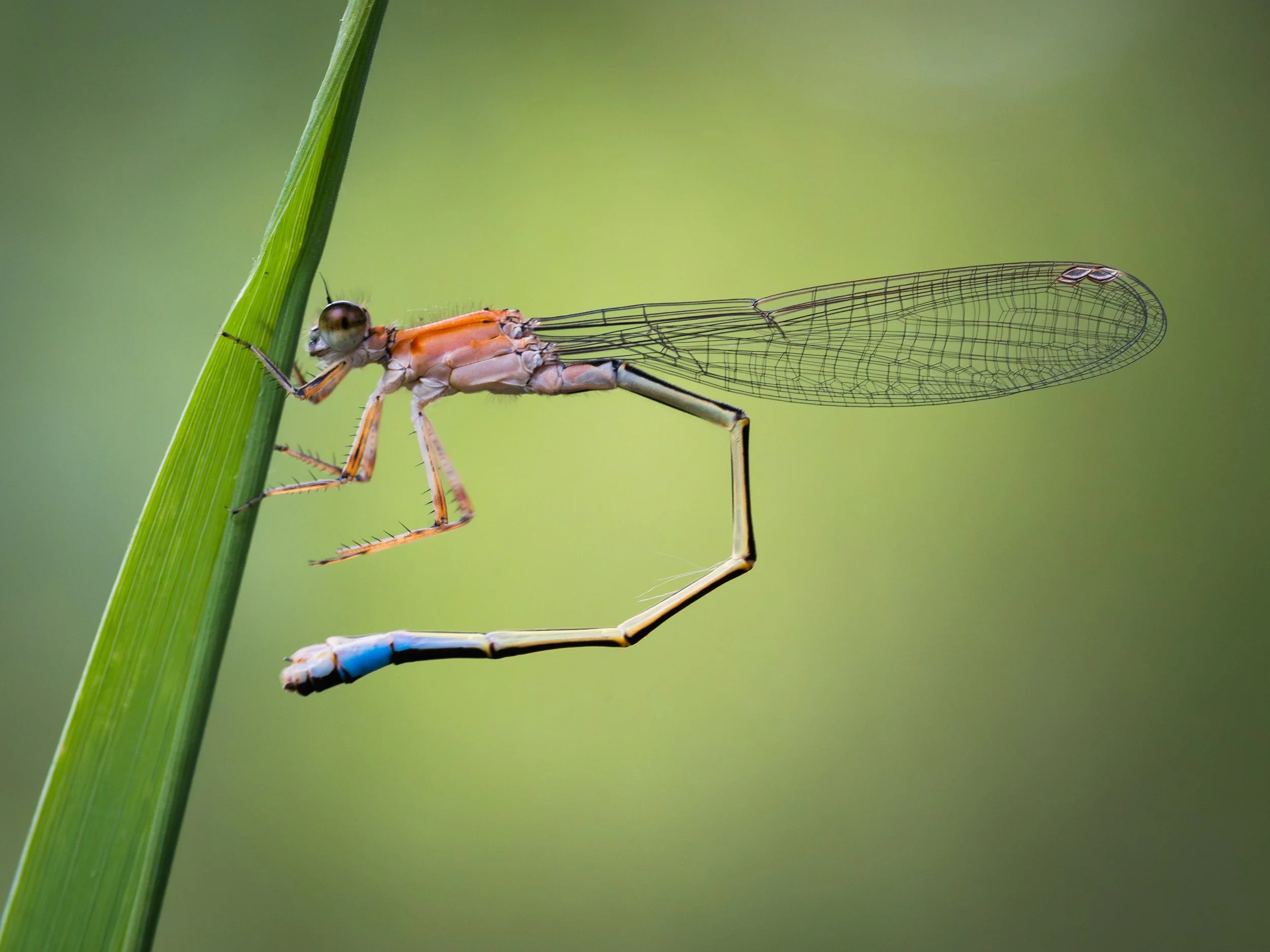 20260701-DSC05794-2.jpg