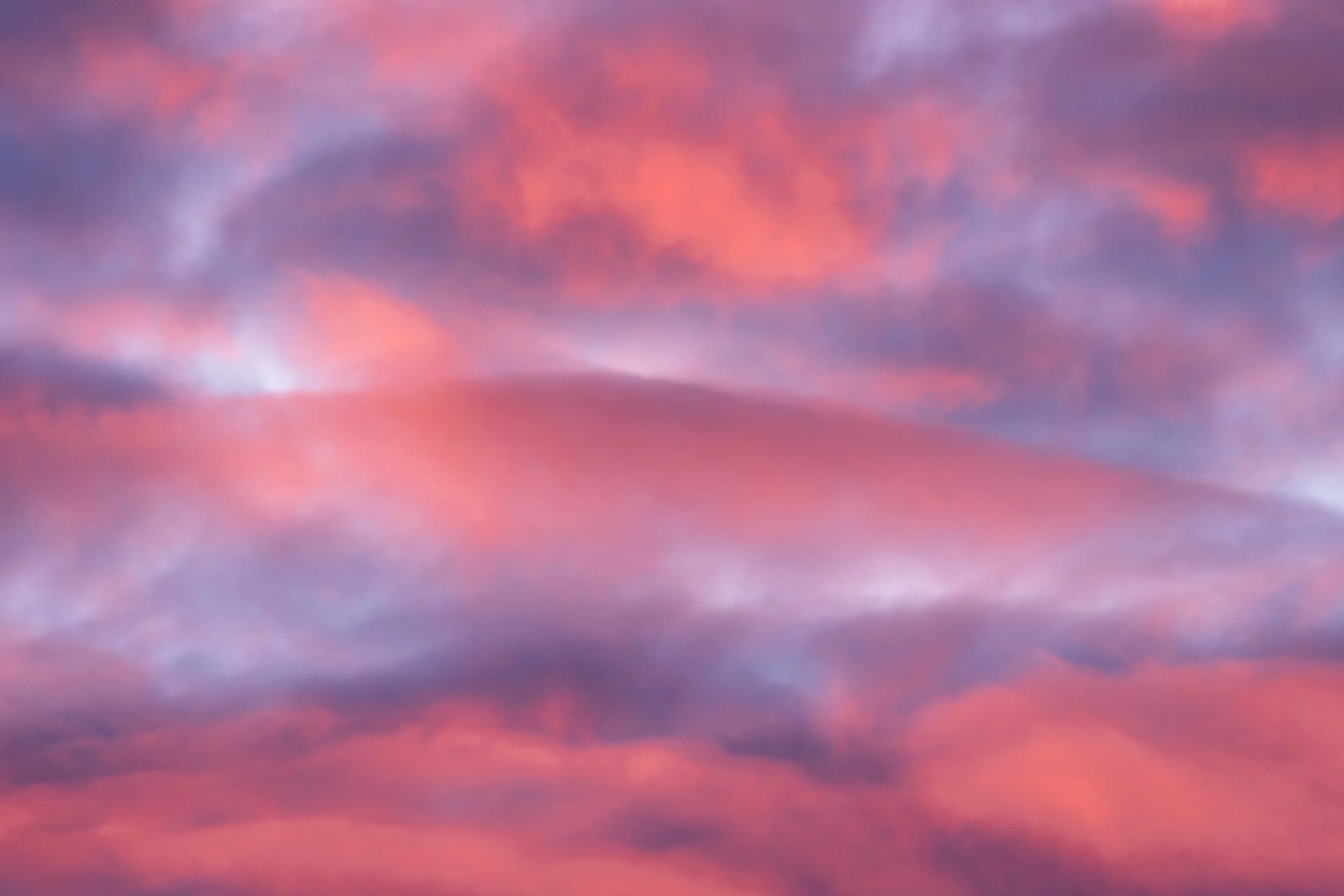 20260301-DSC09804.jpg