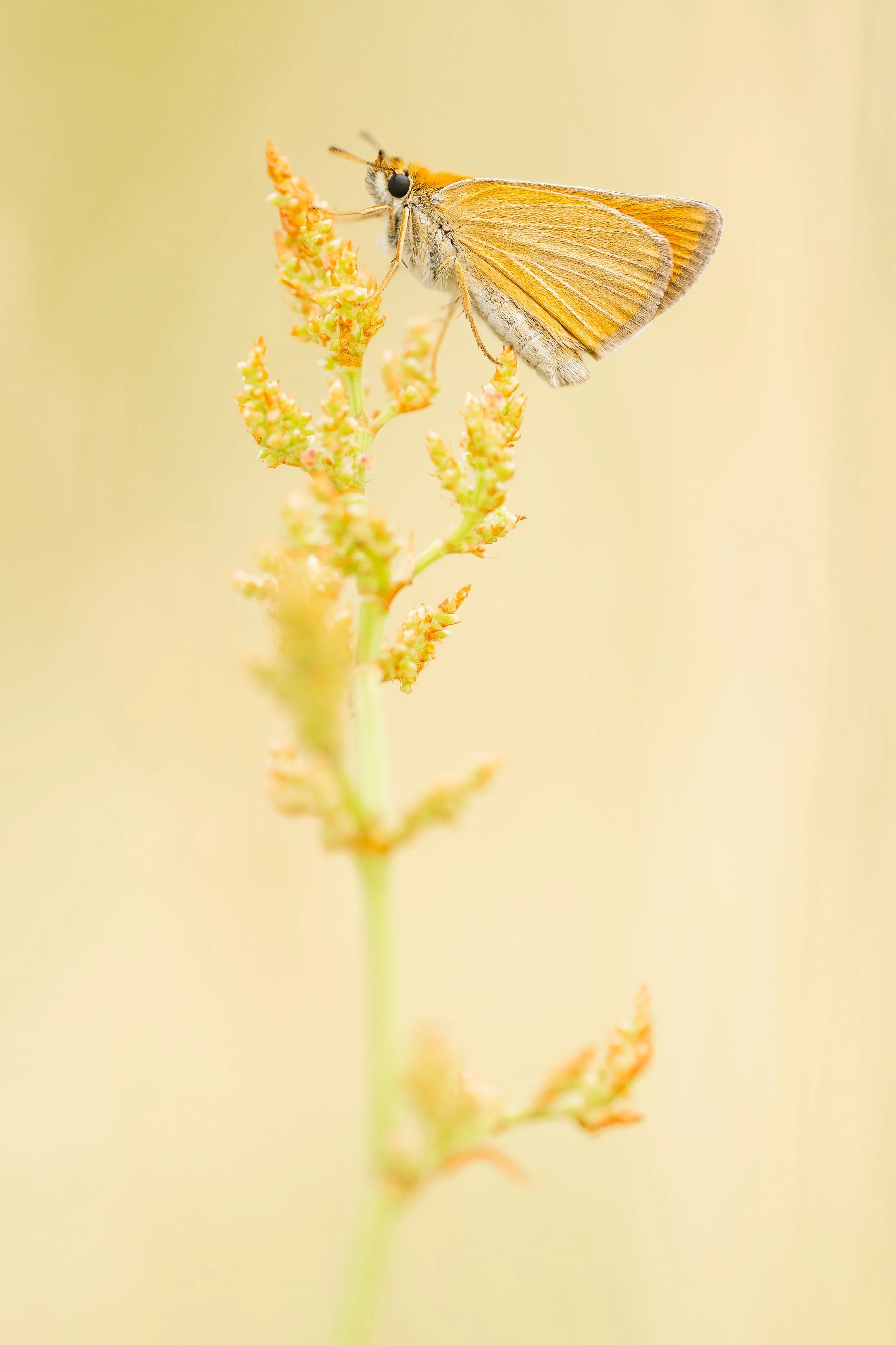 20260701-DSC05972 Kopie.jpg