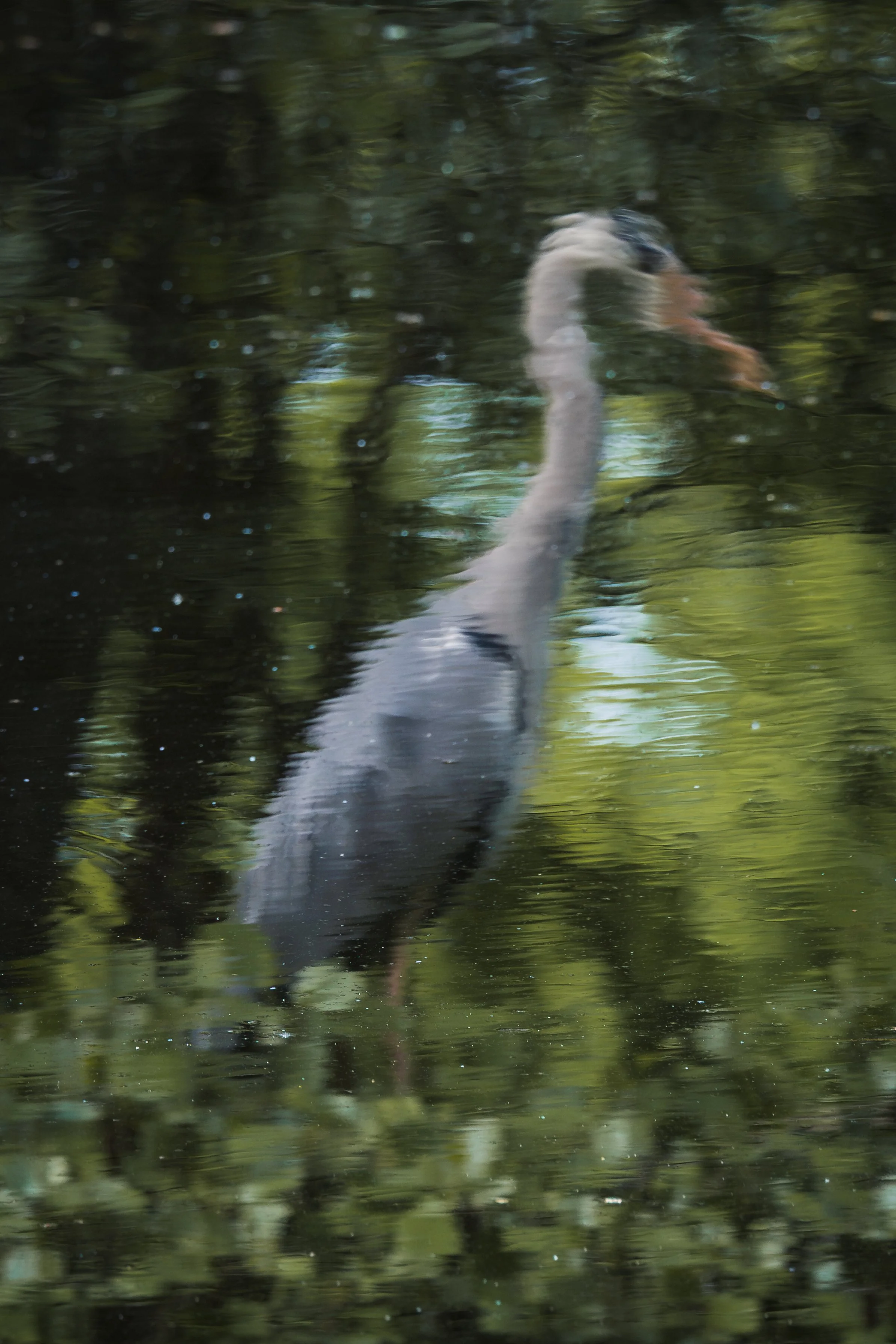 20260508-DSC05093 Kopie.jpg
