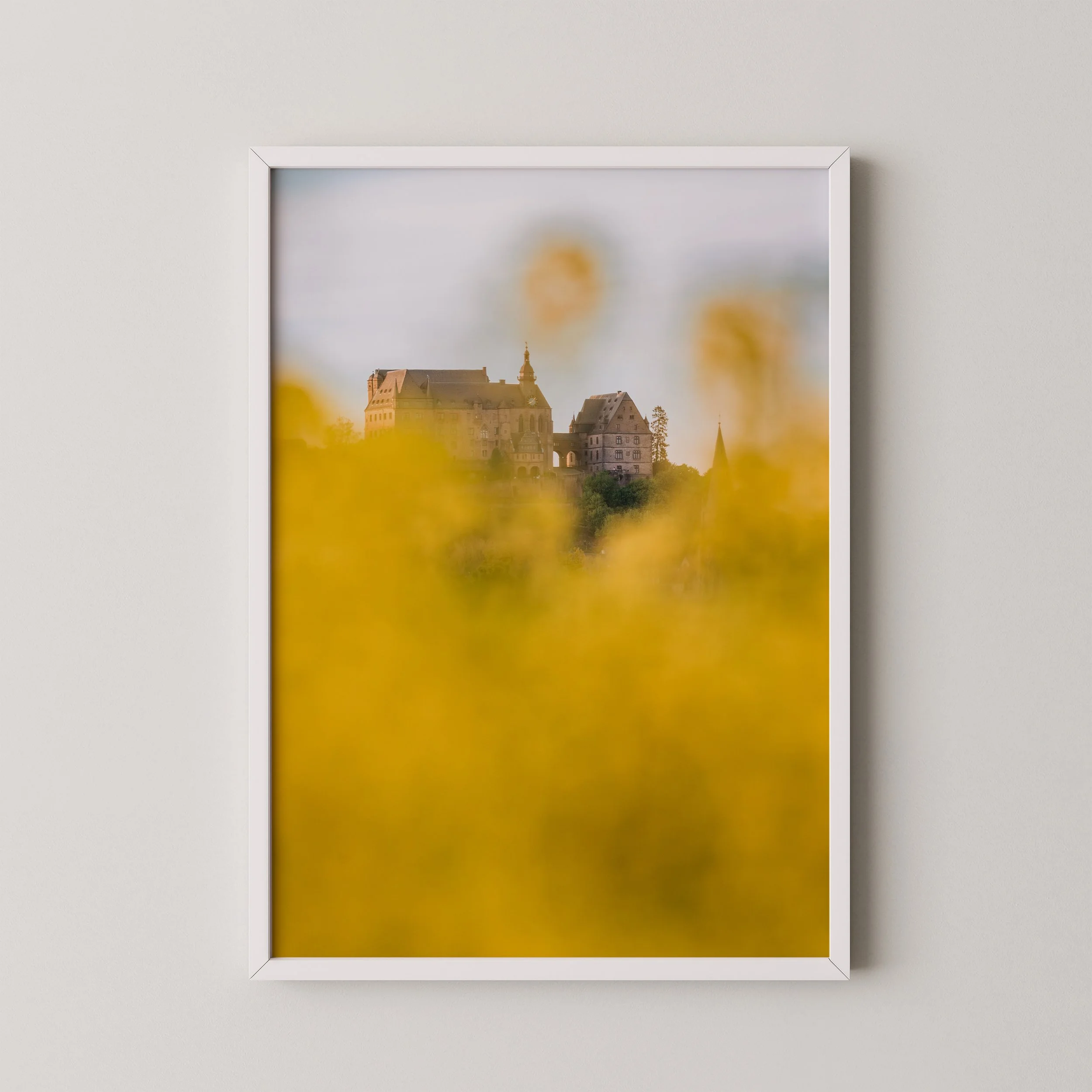 Schloss im Raps