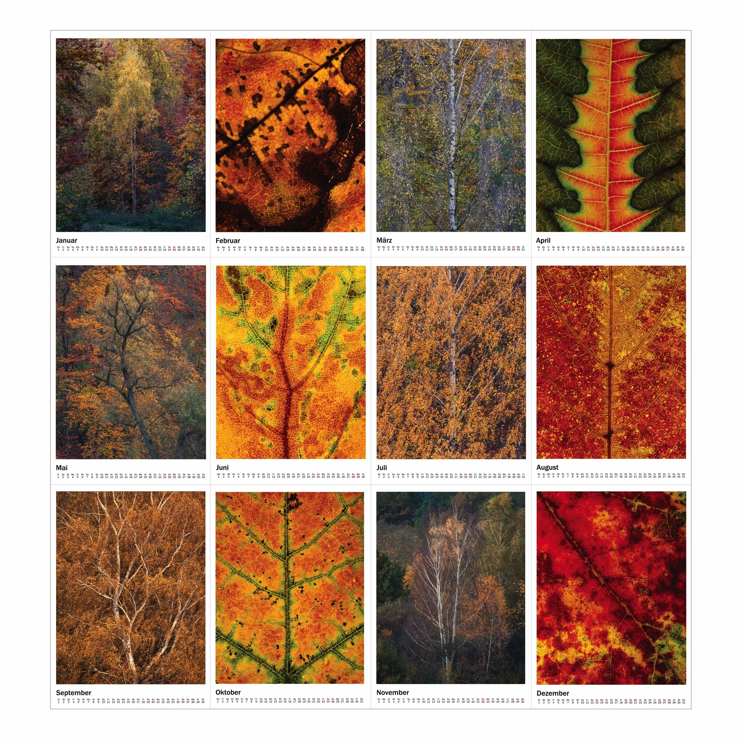 Herbstkalender-2bb.jpeg