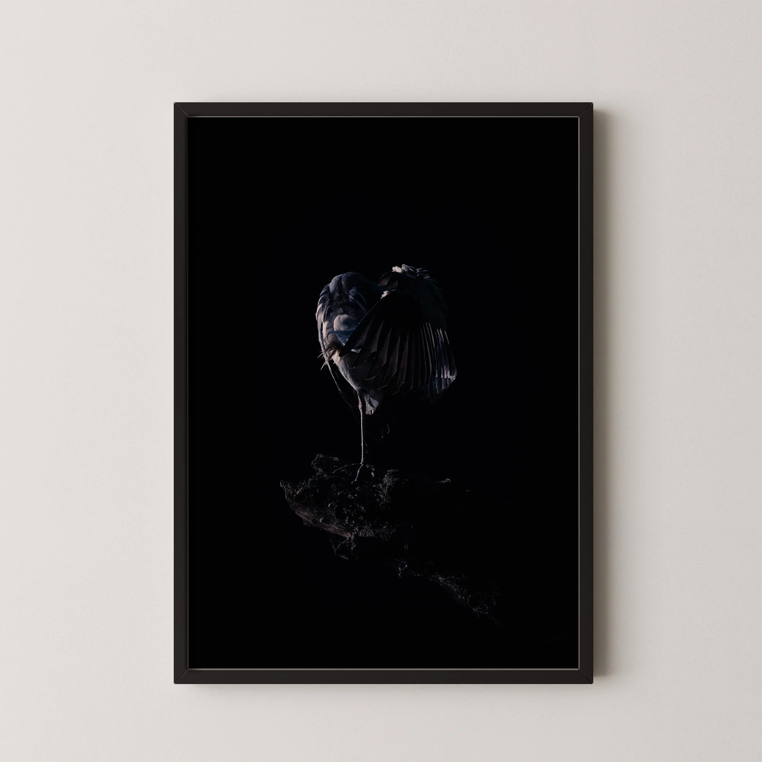 Form und Schatten-f1b.jpg