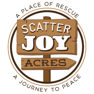 MV-Client Logos-Website Sizing-Test-01.png