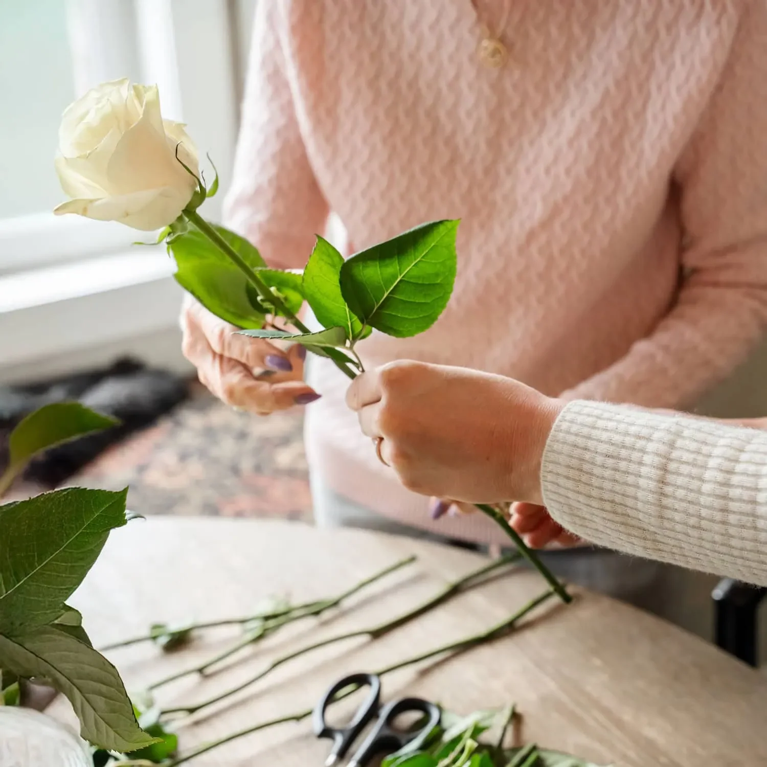 Companion care session involving gardening and caring for roses