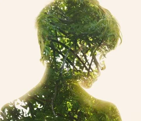 We Are Nature: Reclaiming the Connection That Was Never Lost                 