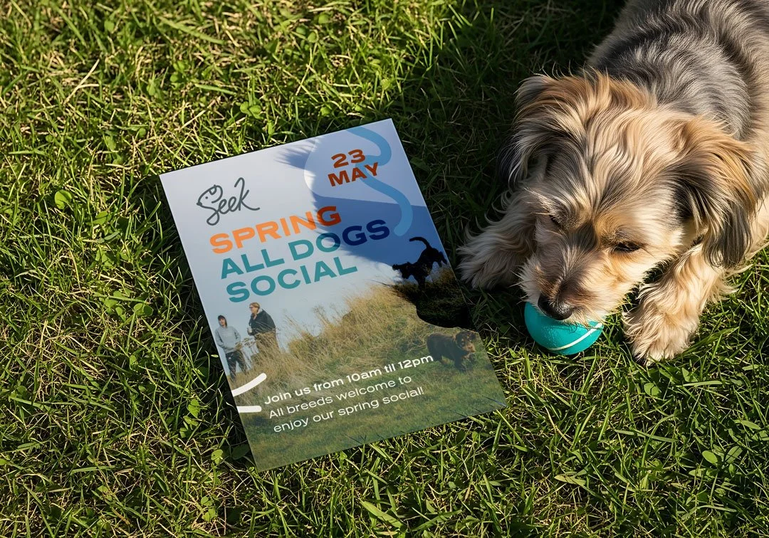 seek-dog-park-poster-design.jpg
