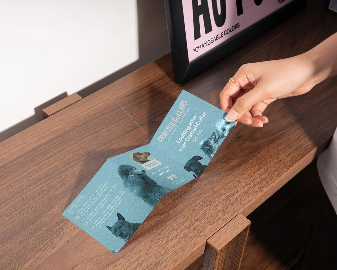 design of a care leaflet for dog and lead collar brand in the UK