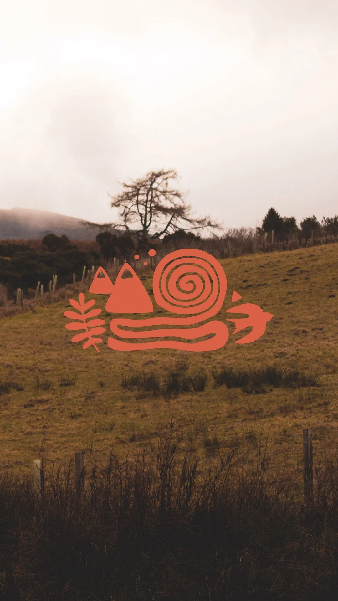 morningside-farm-branding-icon.jpg