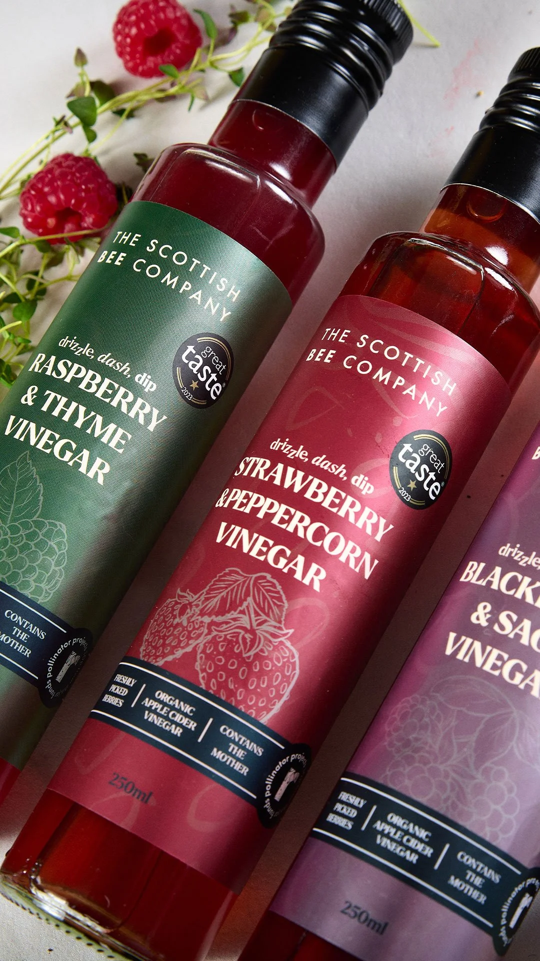 branding and label design for british salad dressings and vinegars