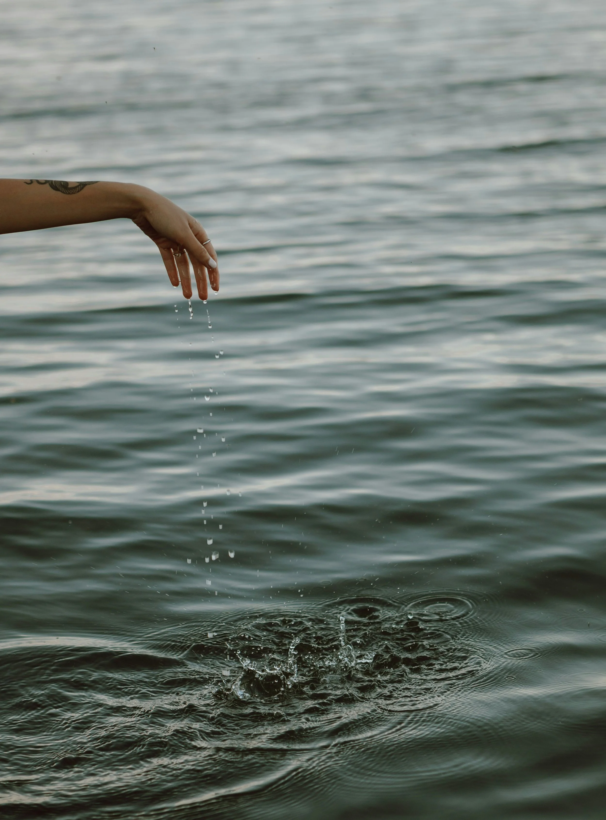 A person's hand with a tattoo on the arm is dripping water into a calm body of water, creating ripples.