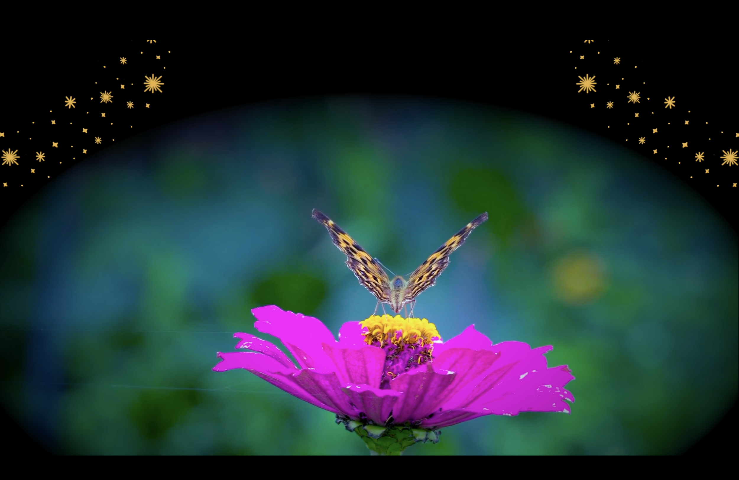 Mystical Musings Still Image.png