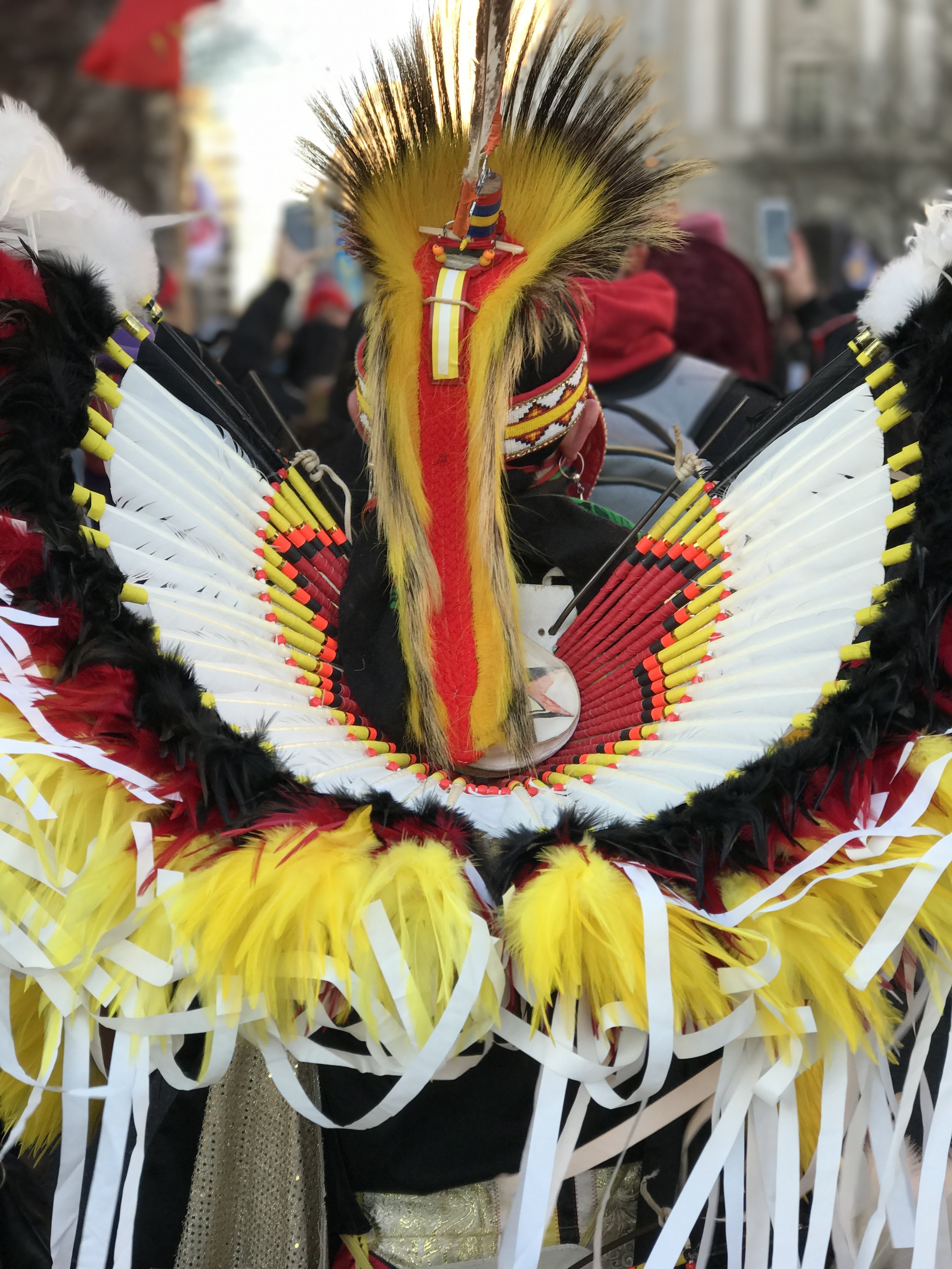 "Indian Pride" | Digital Photograph | 2018
