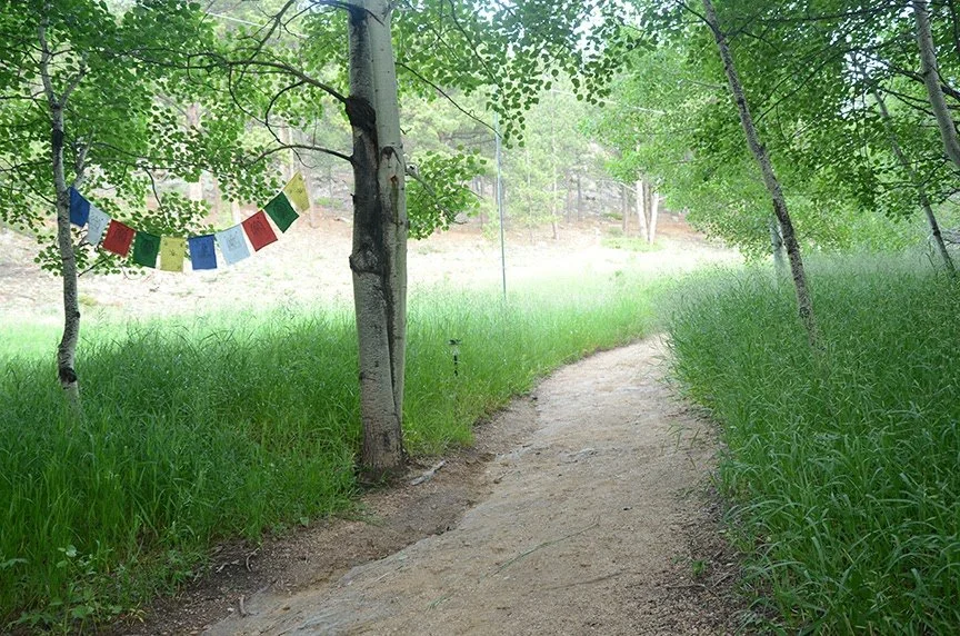 "Path to the Stupa" | Digital Photograph | 2018