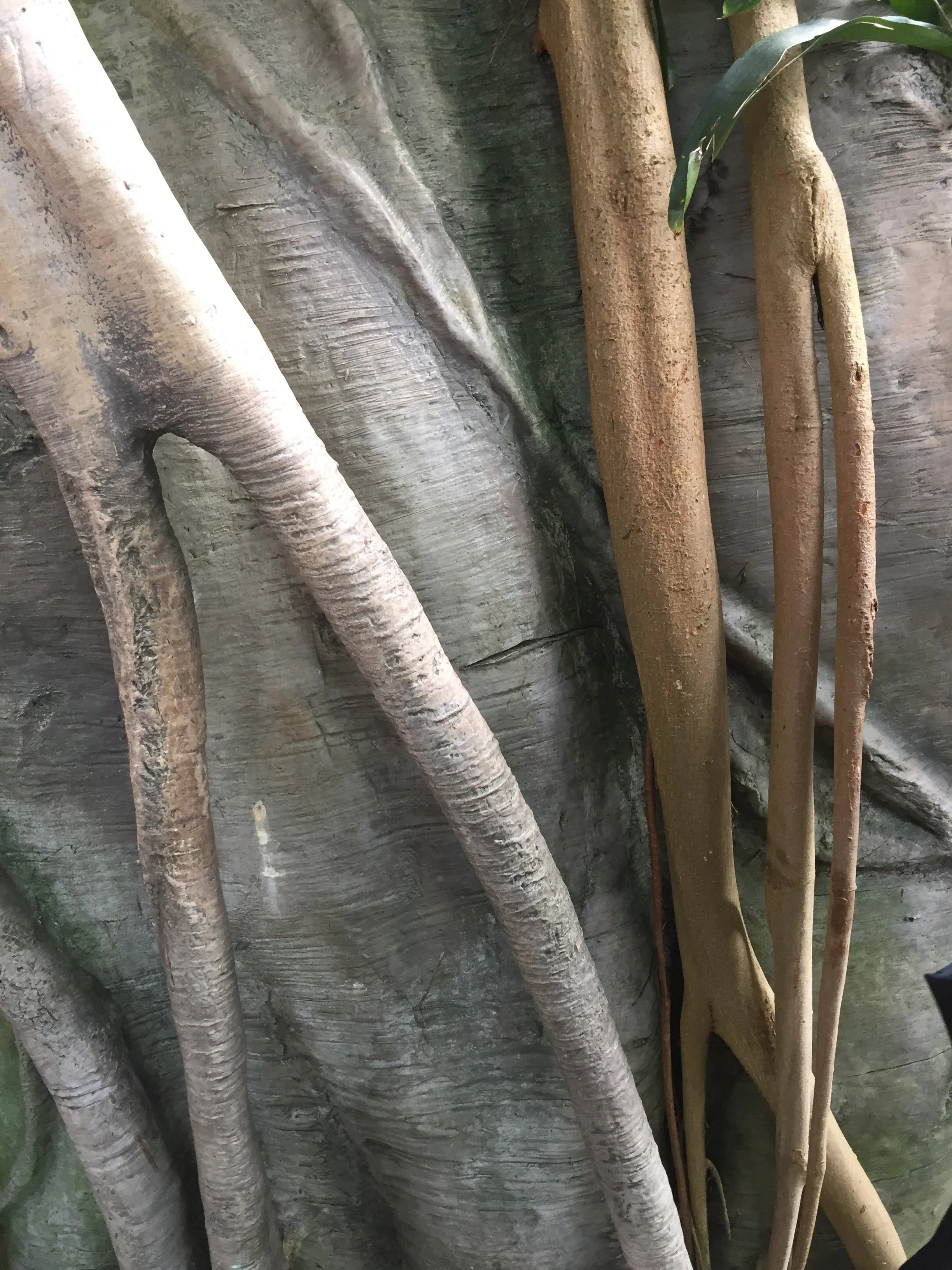 "Wrapped Tight" | Digital Photography | 2025