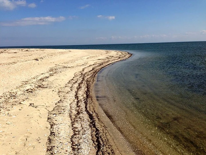"Water's Edge #1" | Digital Photograph | 2022