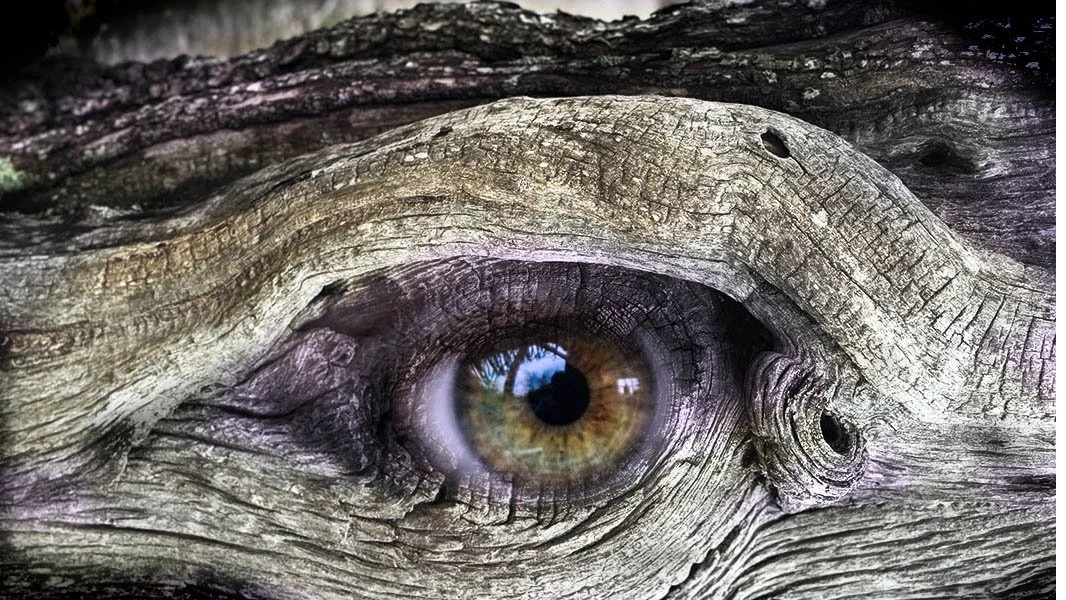                "Alive" | Digital Photograph | 2025