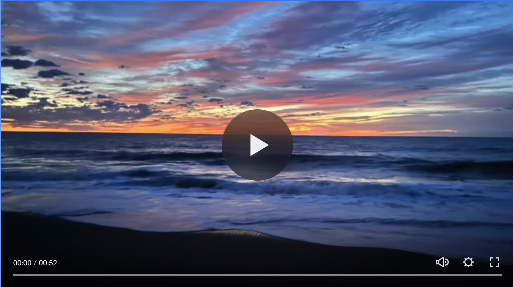 "Fox on the run at dawn" | Digital video | 2025 (VIDEO)