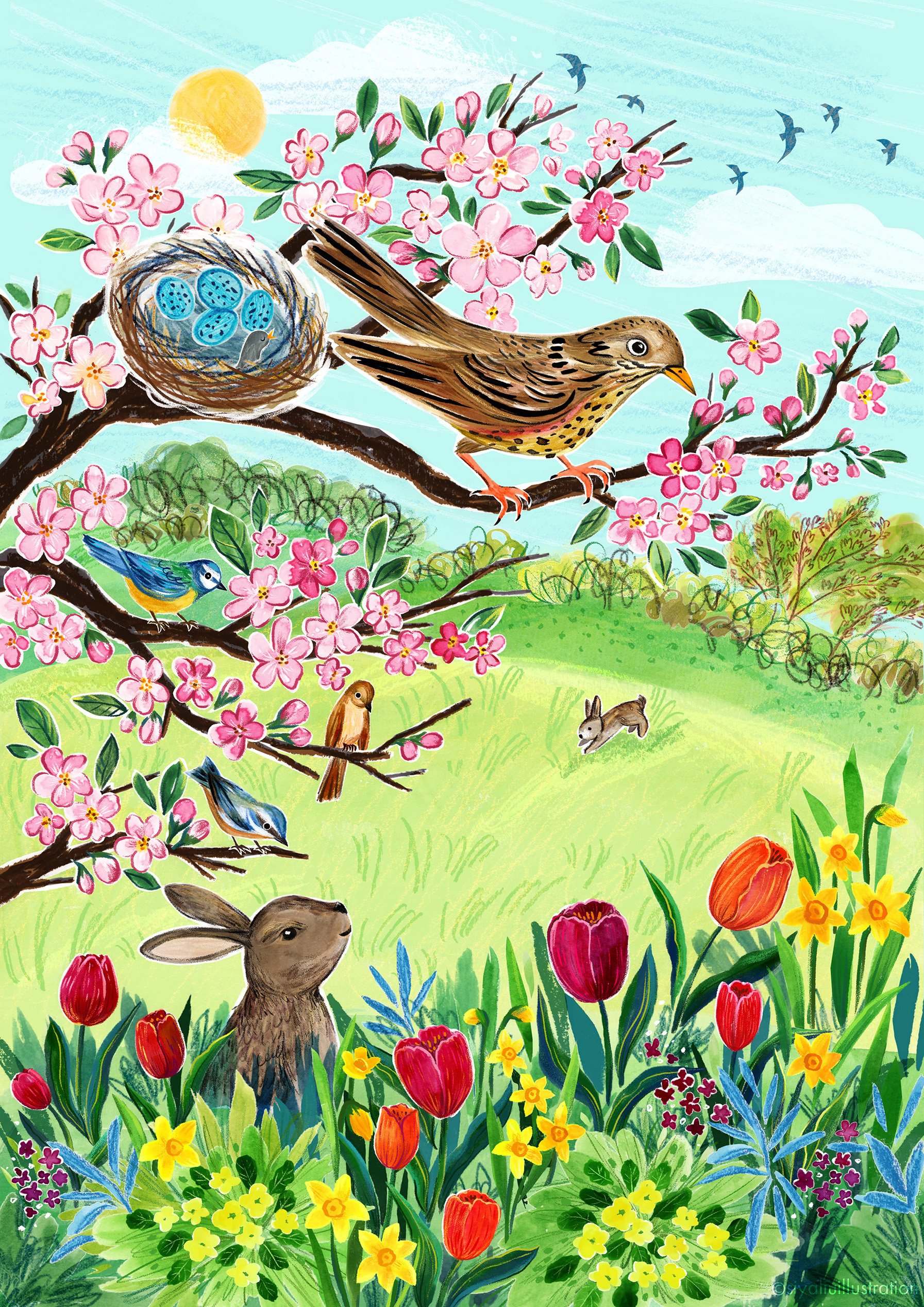 An illustration of a spring day by Siya Liu, bright sunshine in the sky, a bunny and colourful tulips and primroses at the front, pink blossoms at the top with a song thrush and a nest. 