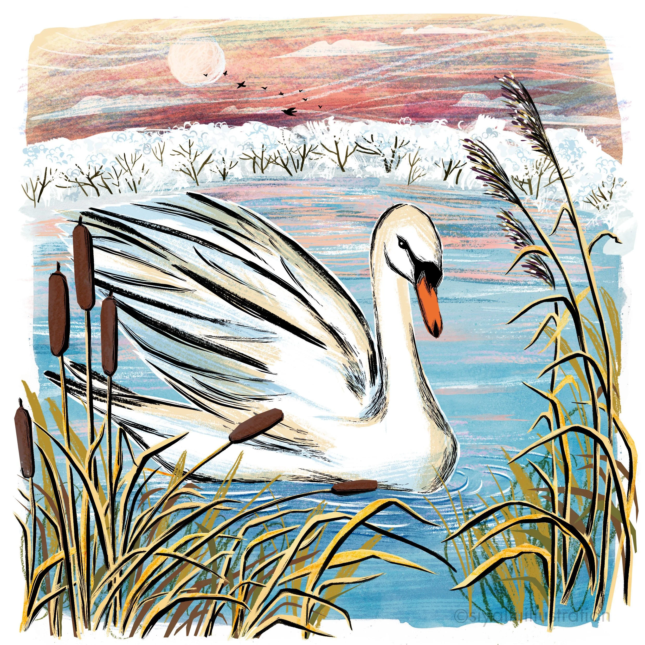 white swan in a winter countryside landscape, mixed-media illustration.