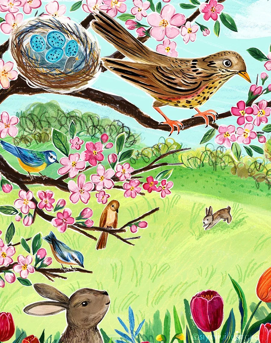 An illustration of a spring day by Siya Liu, with pink-blossom branches at the top and a song thrush.