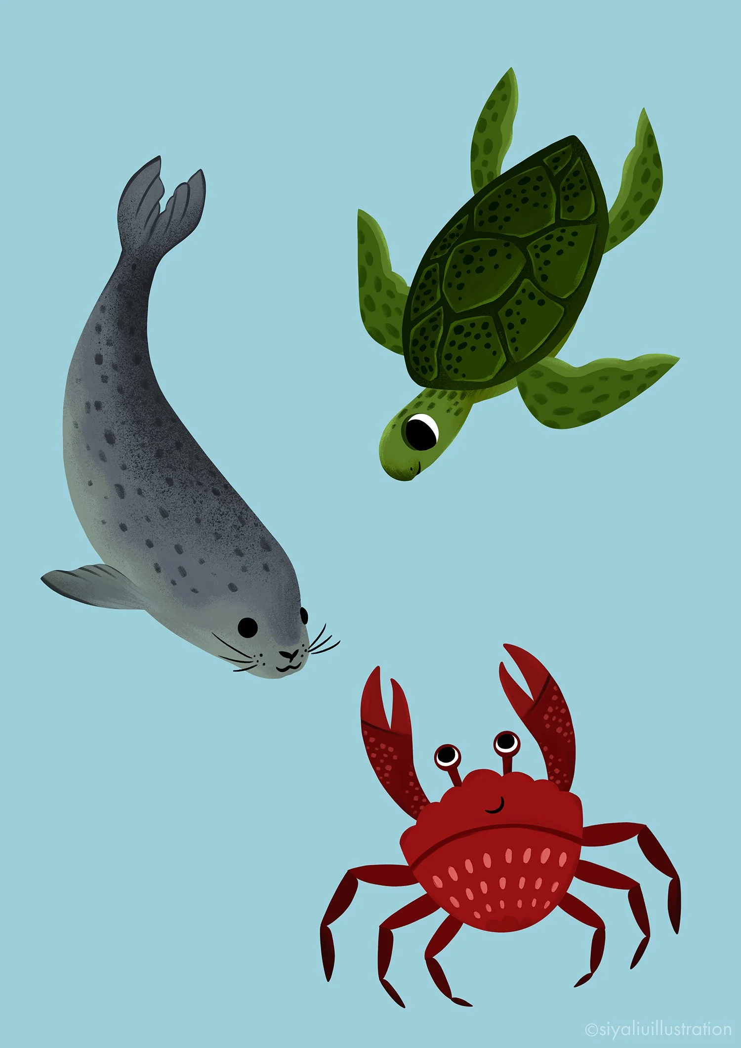 Characters for The Little Mermaid theatre poster illustration by Siya Liu — the green turtle, the crab, the seal. 