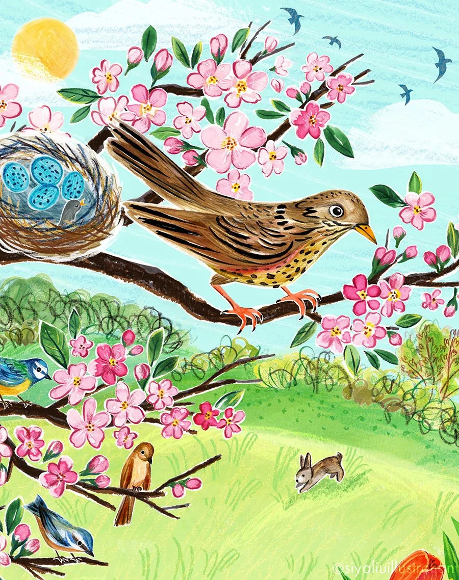 An illustration of a spring day by Siya Liu, with pink blossom branches at the top, a song thrush, and a nest. 