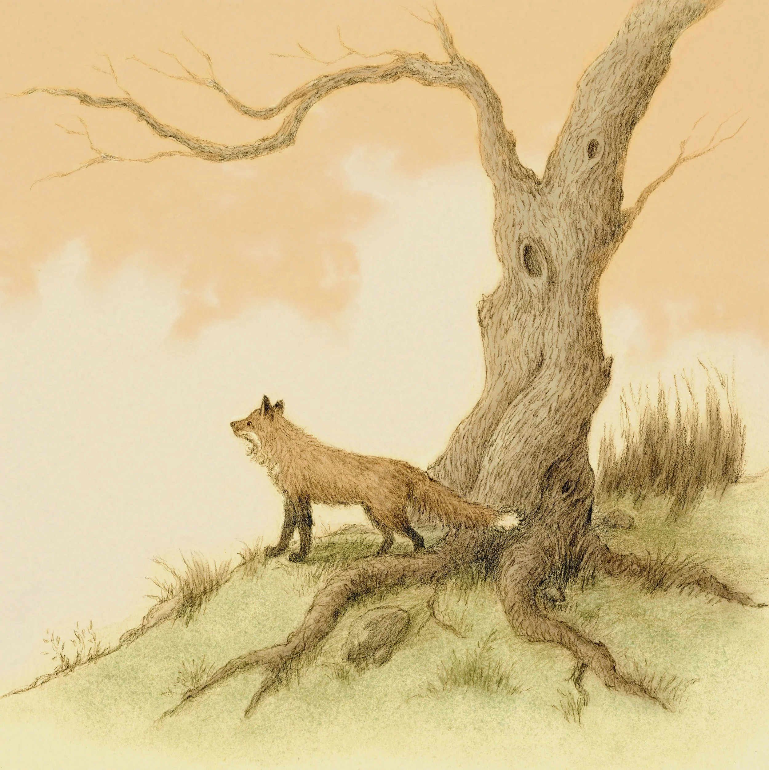 The Fox Tree GL.jpg