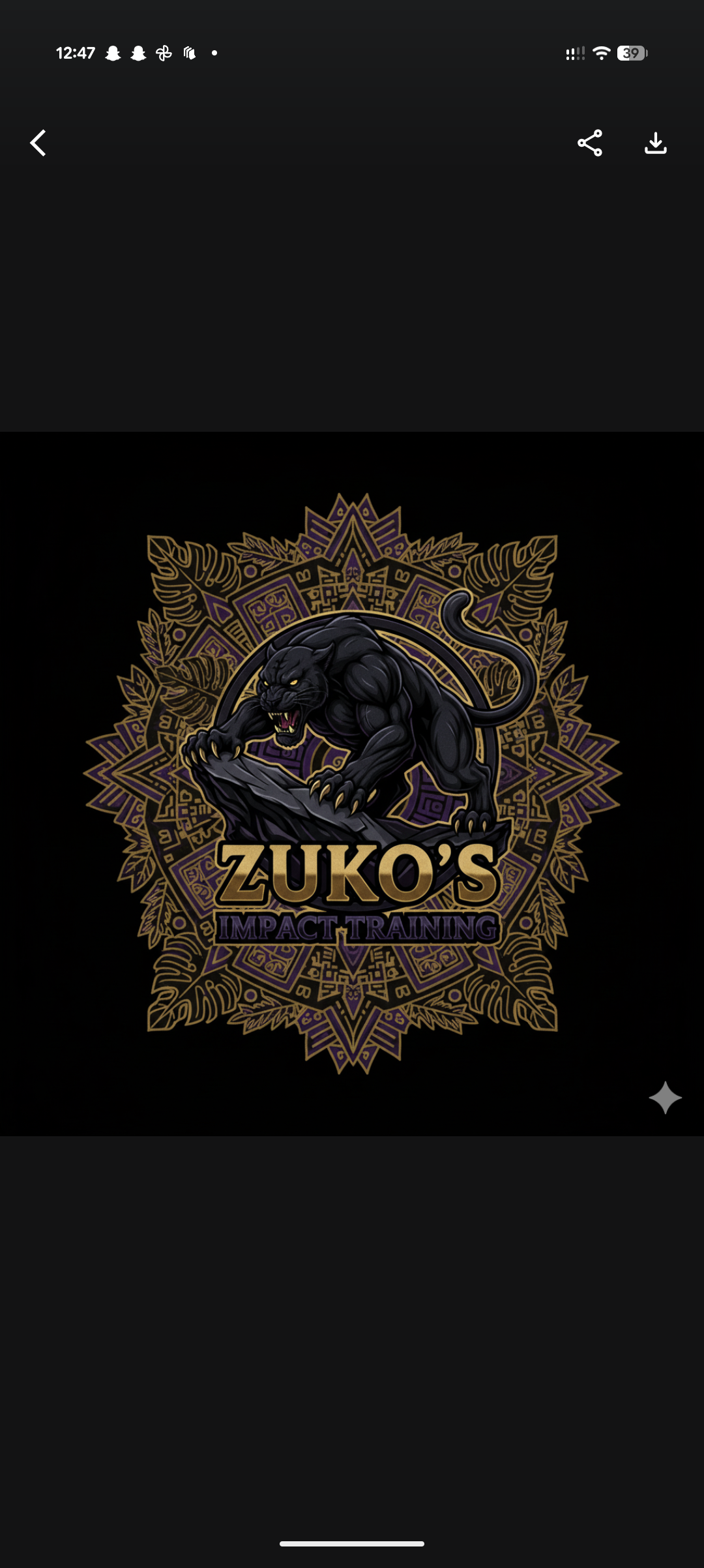 Zuko's Impact Training logo featuring a black panther crouching on a rock with a decorative gold and purple background.