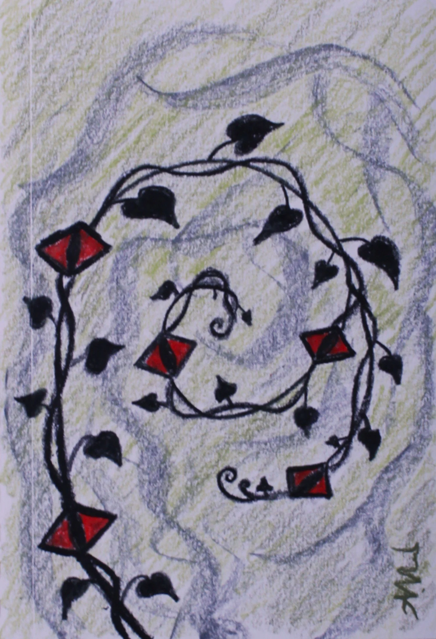 astronomer's vine.JPG