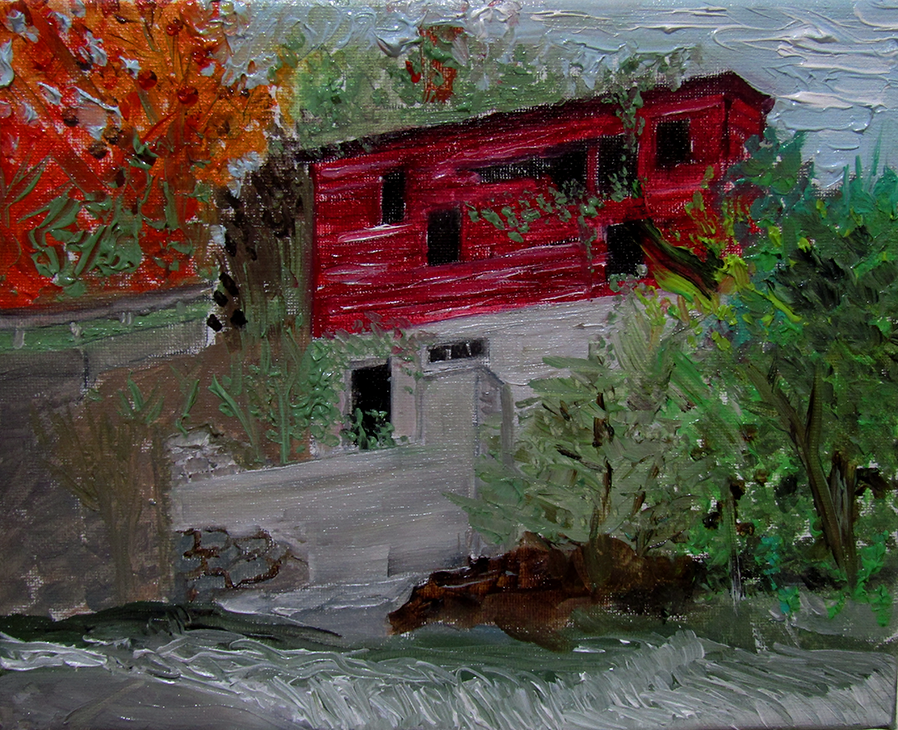 IMG_3529 (small).png