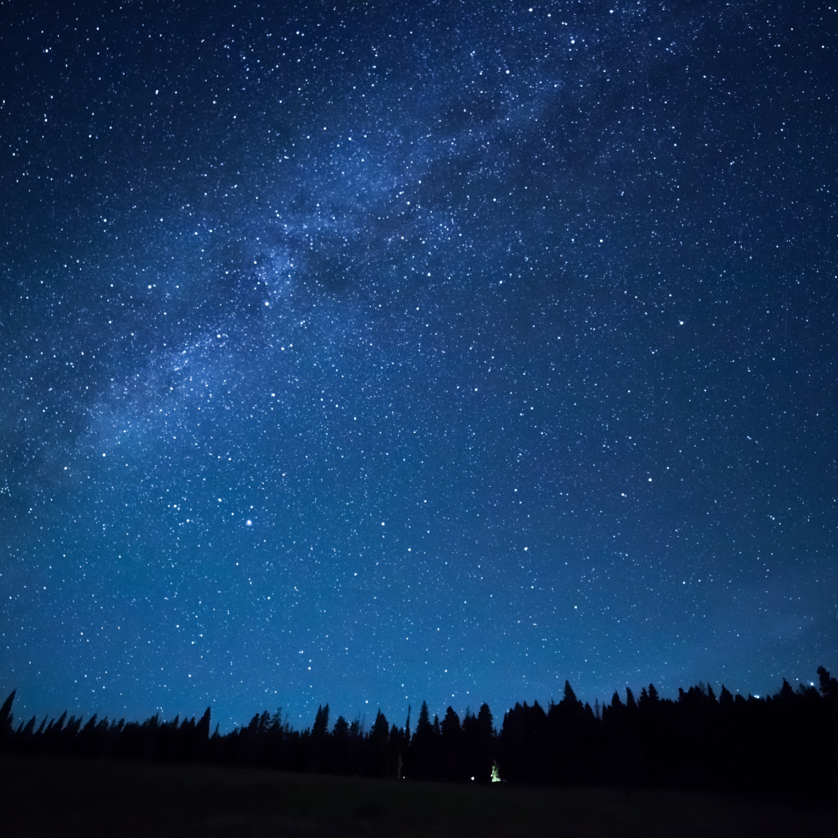 Labels-8-New Moon.png